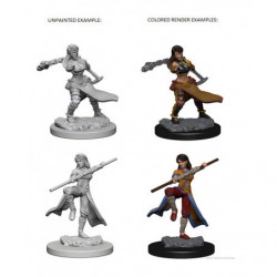 MINIATURAS D&D: HUMAN FEMALE MONK