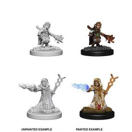 MINIATURAS D&D: FEMALE GNOME WIZARD