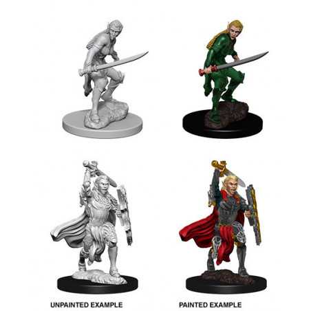 MINIATURAS D&D: FEMALE ELF FIGTHER