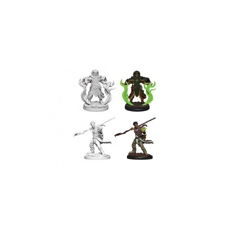 MINIATURAS D&D: MALE HUMAN DRUID