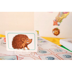 CONCEPT KIDS ANIMAL