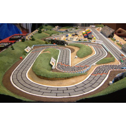 FORMULA D