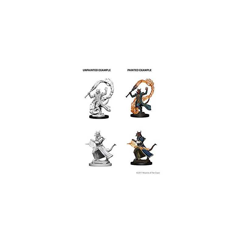 MINIATURAS D&D PREMIUM: TIEFLING MALE SORCERER
