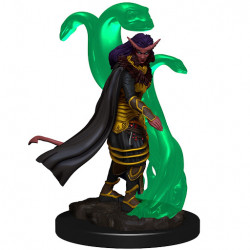 MINIATURAS D&D PREMIUM: TIEFLING FEMALE SORCERER 2