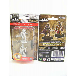 MINIATURAS PATHFINDER: HUMAN FEMALE BARD