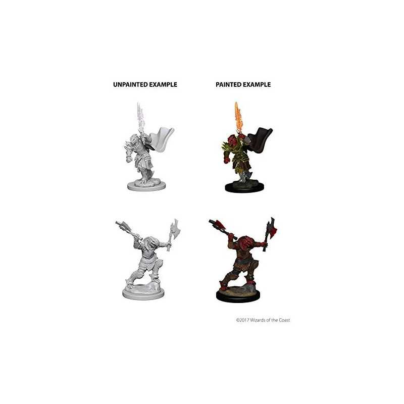 MINIATURAS D&D: DRAGONBORN FEMALE FIGHTER