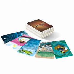 DIXIT 9: MIRRORS